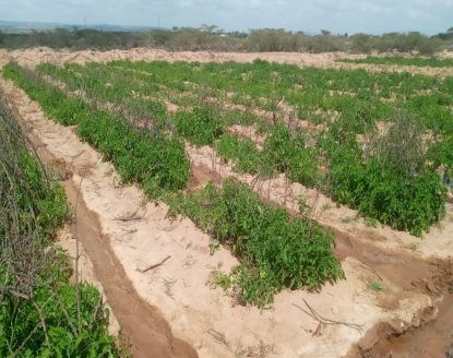 Waterproject Somaliland Nieuwsbrief 3